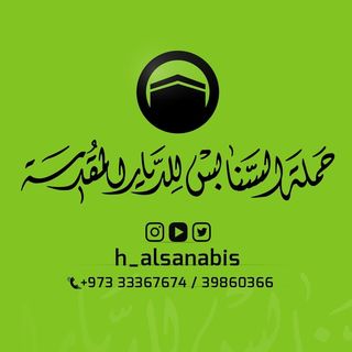 حملة السنابس